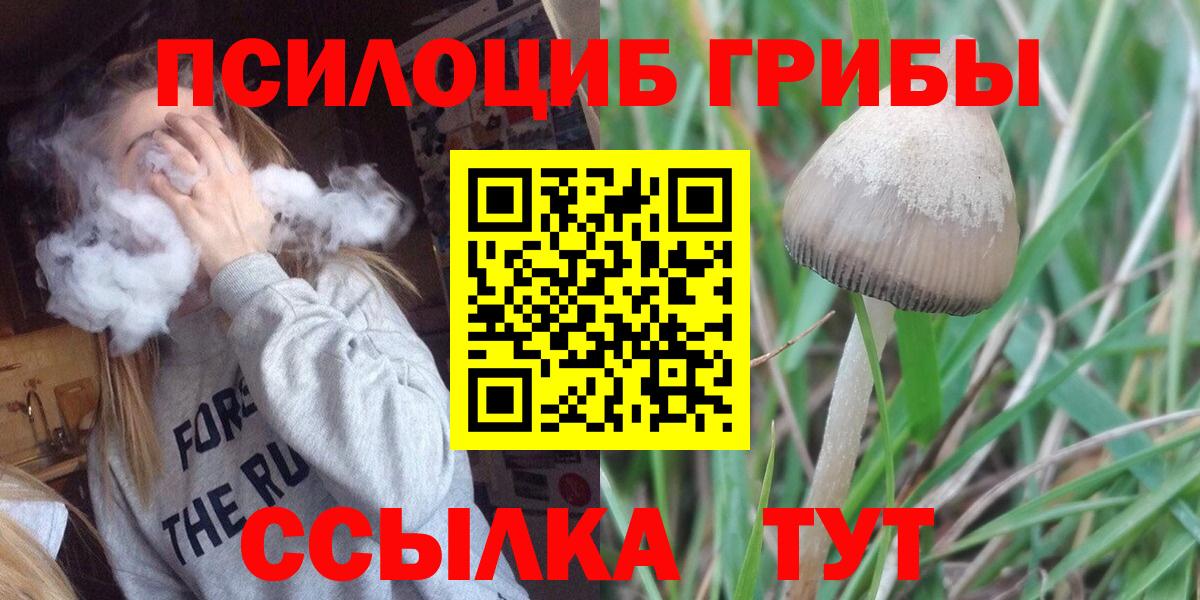 Галлюциногенные грибы мухоморы Волжск